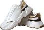 Dolce & Gabbana Gouden Leren Lage Sneakers met Logo Details White Heren - Thumbnail 4