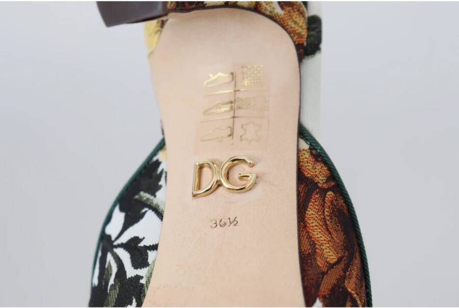 Dolce & Gabbana Heeled Mules Meerkleurig Dames