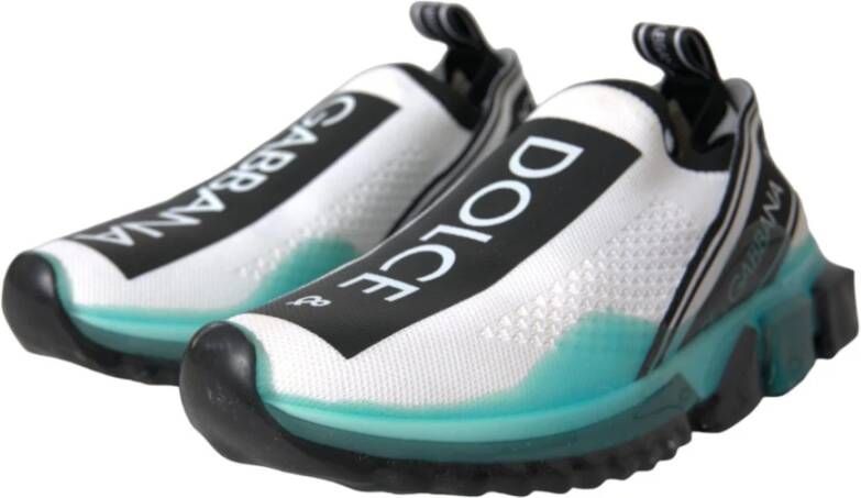 Dolce & Gabbana Logo Print Slip-On Sorrento Sneakers Multicolor Dames