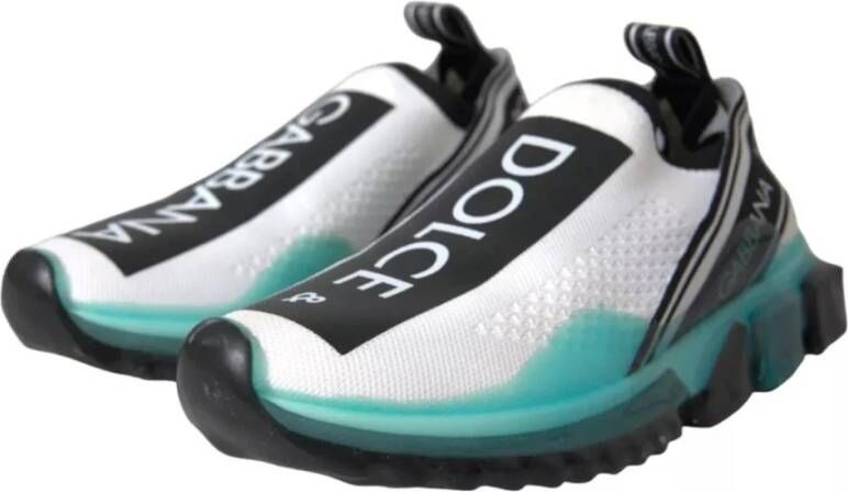 Dolce & Gabbana Logo Slip-On Sorrento Sneakers met Rubberen Zool Multicolor Heren