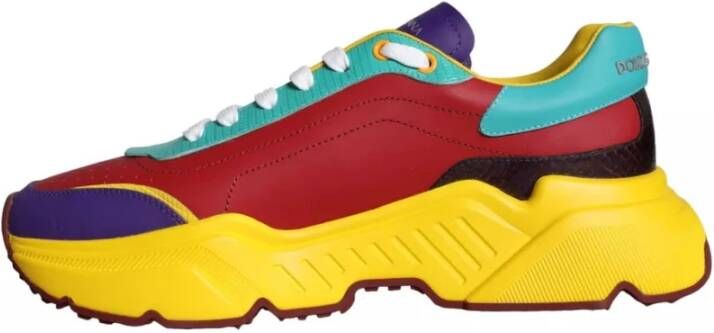Dolce & Gabbana Multicolor Daymaster Lage Top Sneakers Multicolor Heren