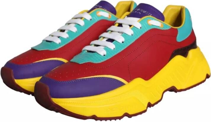 Dolce & Gabbana Multicolor Daymaster Lage Top Sneakers Multicolor Heren