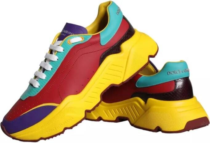 Dolce & Gabbana Multicolor Daymaster Lage Top Sneakers Multicolor Heren