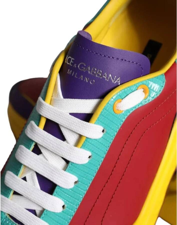 Dolce & Gabbana Multicolor Daymaster Lage Top Sneakers Multicolor Heren