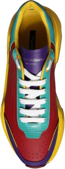 Dolce & Gabbana Multicolor Daymaster Lage Top Sneakers Multicolor Heren