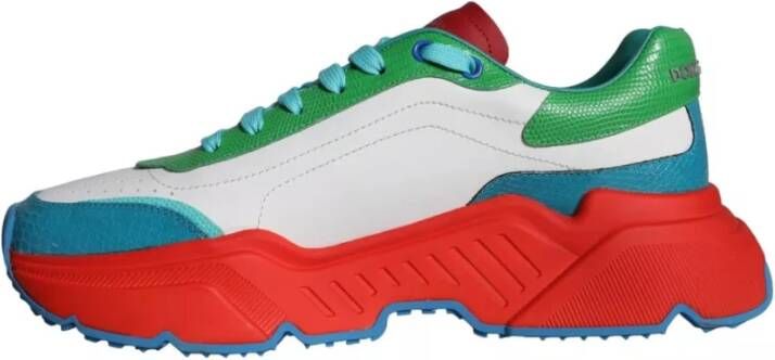 Dolce & Gabbana Multicolor Daymaster Lage Top Sneakers Multicolor Heren
