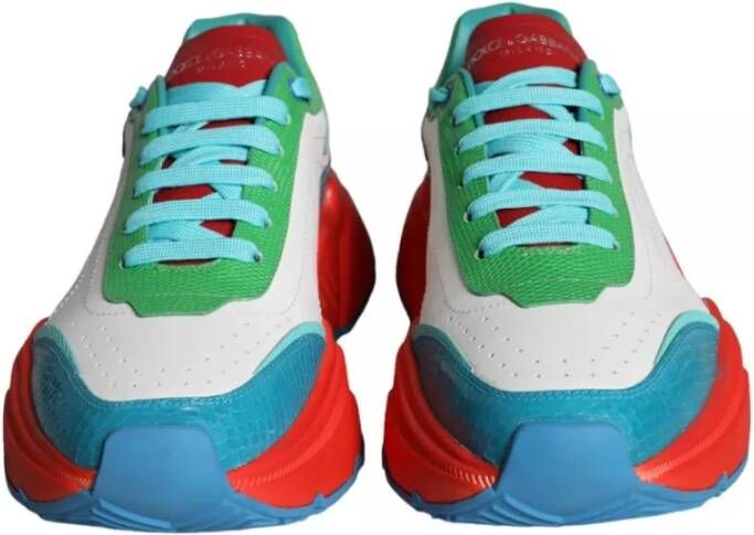 Dolce & Gabbana Multicolor Daymaster Lage Top Sneakers Multicolor Heren
