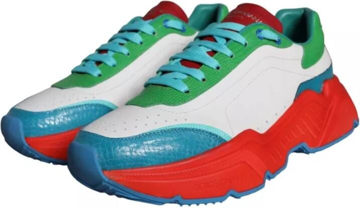 Dolce & Gabbana Multicolor Daymaster Lage Top Sneakers Multicolor Heren