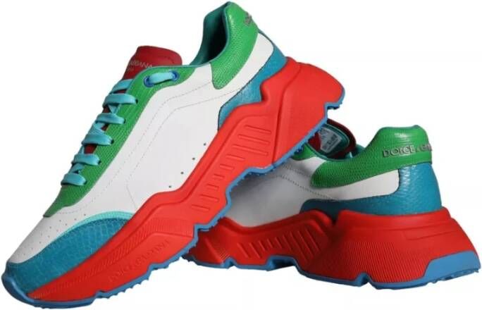 Dolce & Gabbana Multicolor Daymaster Lage Top Sneakers Multicolor Heren