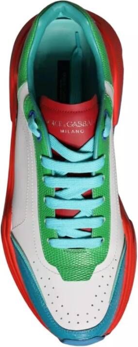 Dolce & Gabbana Multicolor Daymaster Lage Top Sneakers Multicolor Heren