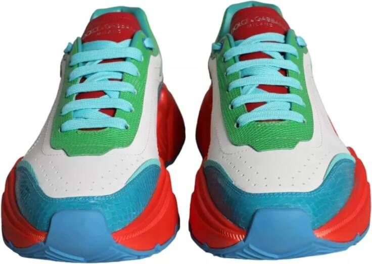 Dolce & Gabbana Multicolor Lage Sneakers Multicolor Heren