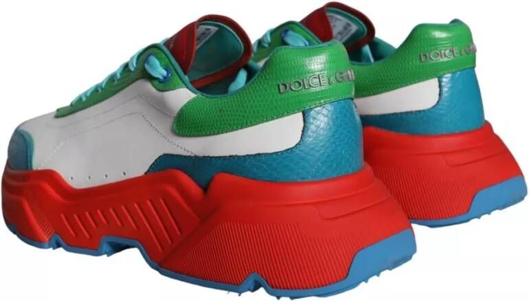 Dolce & Gabbana Multicolor Lage Sneakers Multicolor Heren