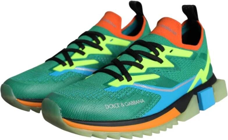 Dolce & Gabbana Multicolor Lage Sneakers Multicolor Heren