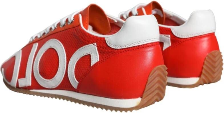 Dolce & Gabbana Multicolor Leren Lage Top Logo Sneakers Multicolor Dames
