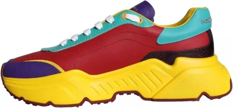 Dolce & Gabbana Multicolor Leren Low Top Sneakers Multicolor Heren