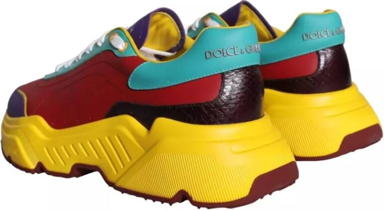 Dolce & Gabbana Multicolor Leren Low Top Sneakers Multicolor Heren