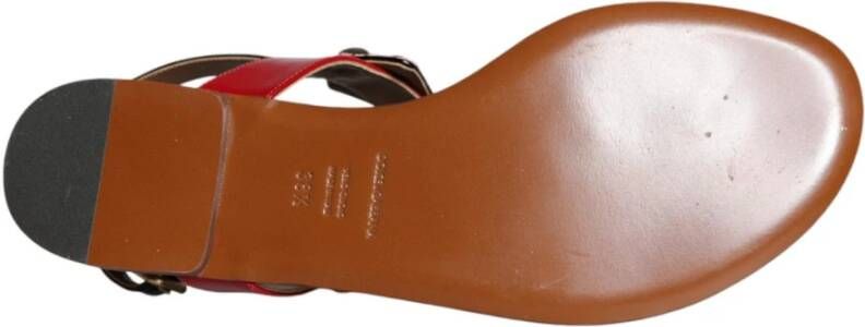 Dolce & Gabbana Multicolor Leren Slippers met Gesp Multicolor Dames