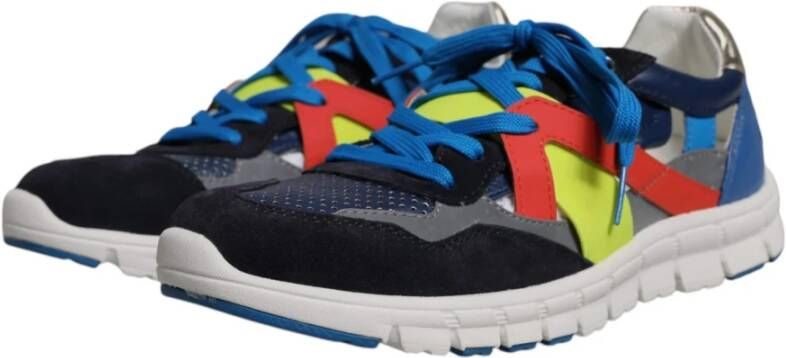 Dolce & Gabbana Multicolor Leren Sneakers met Rubberen Zool Multicolor Heren