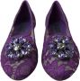 Dolce & Gabbana Paarse Taormina Kant Kristal Platte Schoenen Purple Dames - Thumbnail 2