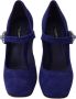 Dolce & Gabbana Paarse Suède Kristal Pumps Hakken Schoenen Purple Dames - Thumbnail 4