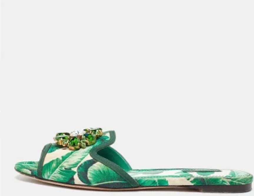 Dolce & Gabbana Pre-owned Fabric flats Green Dames