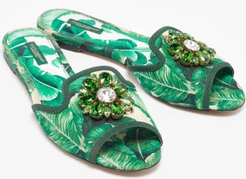 Dolce & Gabbana Pre-owned Fabric flats Green Dames