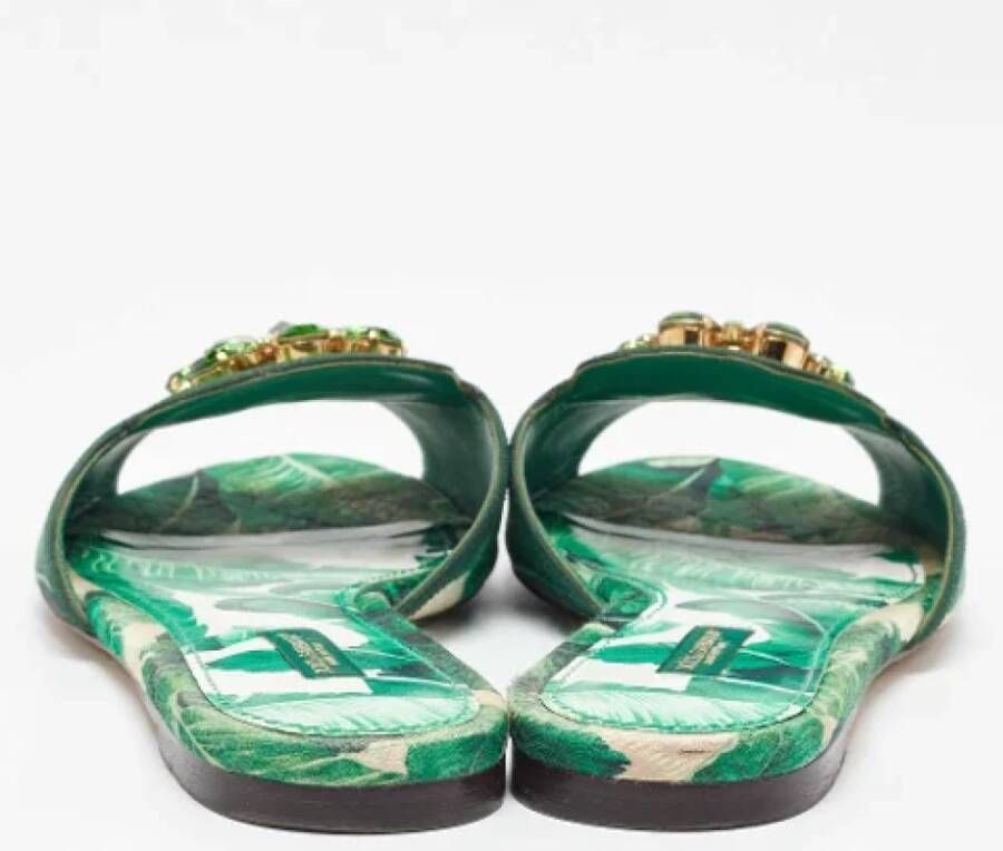 Dolce & Gabbana Pre-owned Fabric flats Green Dames