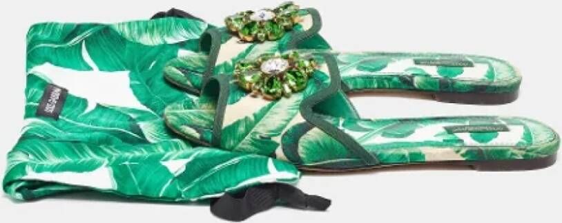 Dolce & Gabbana Pre-owned Fabric flats Green Dames