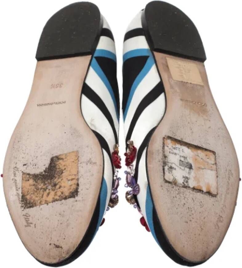 Dolce & Gabbana Pre-owned Fabric flats Multicolor Dames