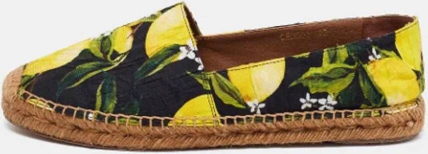 Dolce & Gabbana Pre-owned Fabric flats Multicolor Dames