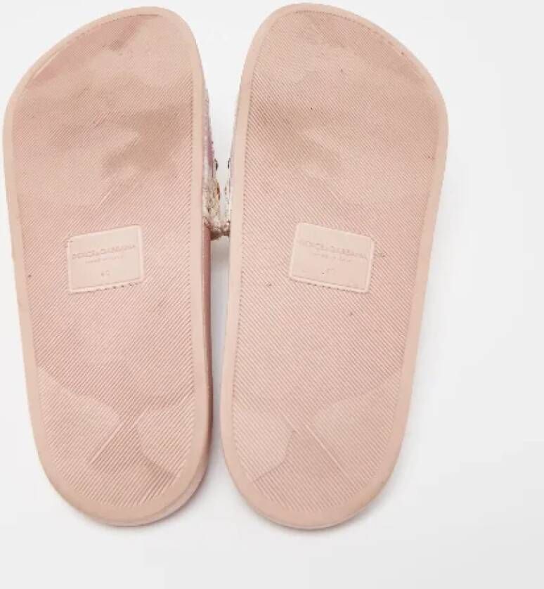 Dolce & Gabbana Pre-owned Fabric flats Pink Dames