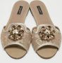 Dolce & Gabbana Pre-owned Lace flats Gray Dames - Thumbnail 3