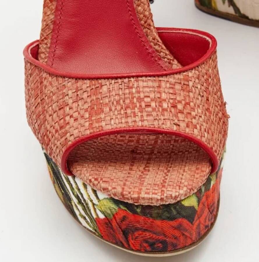 Dolce & Gabbana Pre-owned Raffia sandals Pink Dames