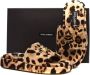Dolce & Gabbana Sandals Multicolor Dames - Thumbnail 5