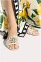 Dolce & Gabbana Sandalen Licht Grijs Gray Dames - Thumbnail 5