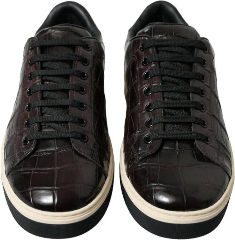 Dolce & Gabbana Sneakers Brown Heren