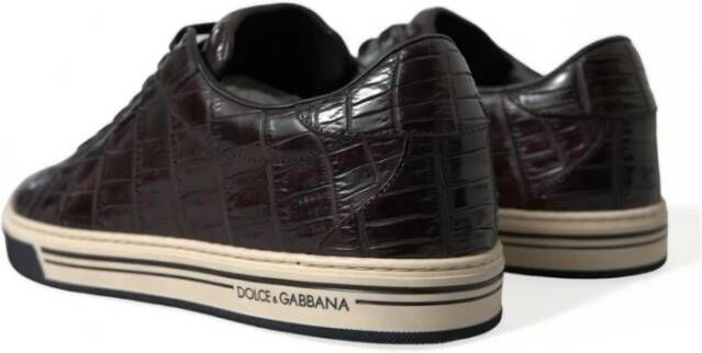 Dolce & Gabbana Sneakers Brown Heren