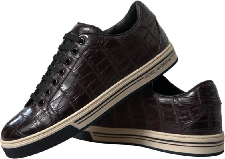 Dolce & Gabbana Sneakers Brown Heren