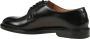 Doucal's Veterschoenen Derby - Thumbnail 2