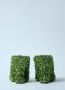 Dries Van Noten Gebogen Hak Metallic Sleehakken Green Dames - Thumbnail 6