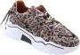 DWRS LABEL DWRS Jupiter leopard sneakers Beige Leer Lage sneakers Dames - Thumbnail 12