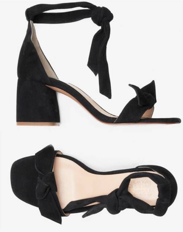 Fabienne Chapot High Heel Sandals Zwart Dames