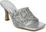 Fabienne Chapot Stijlvolle Alexa Mule Gray Dames - Thumbnail 3