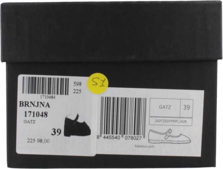 Flabelus Puntige Ballerina Schoenen