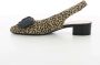 Gabor Dames Cognac Schoenen Brown Dames - Thumbnail 4