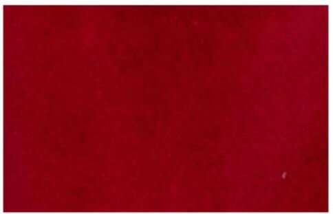 Gallo Dames effen bordeauxrode fluwelen schoenen met contrasterende details Red Dames