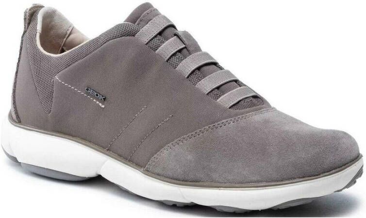 Geox nebula shoes Grijs Heren