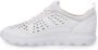 Geox Stijlvolle Damessneakers White Dames - Thumbnail 15