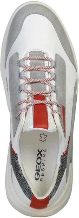 Geox Sneakers Wit Heren