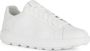 Geox Witte Sneakers Ecub-1 White Heren - Thumbnail 3